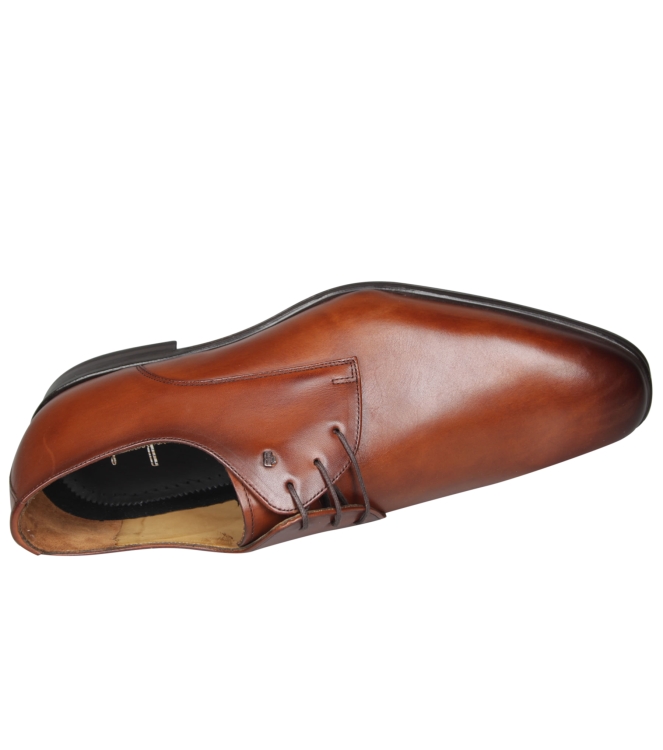 van Bommel SBM-30149-24-01 van Bommel SBM-30149-24-01