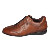 Kleur Cognac