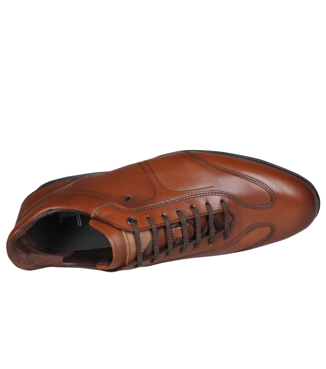 van Bommel SBM-10016-24-01 van Bommel SBM-10016-24-01