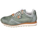 Kleur Groen
