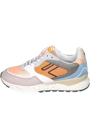 Floris van Bommel De Treener SFM-10243-86-01