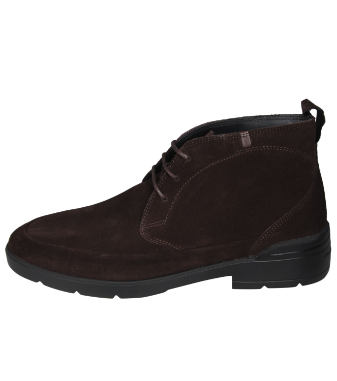 Floris van Bommel SFM-50140-21-02