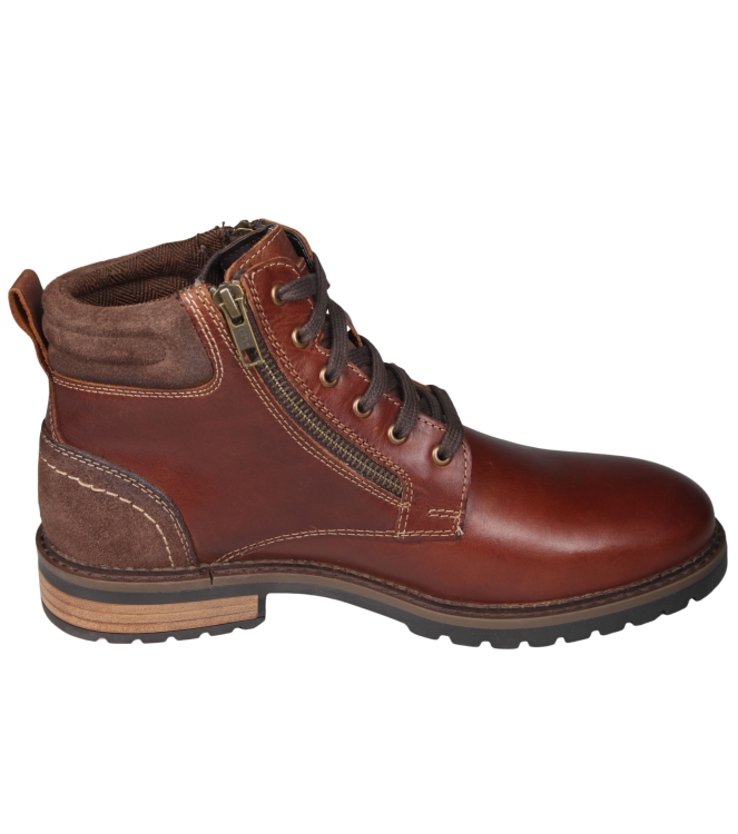 Cypres Adriel 2640902 Cypres Adriel 2640902