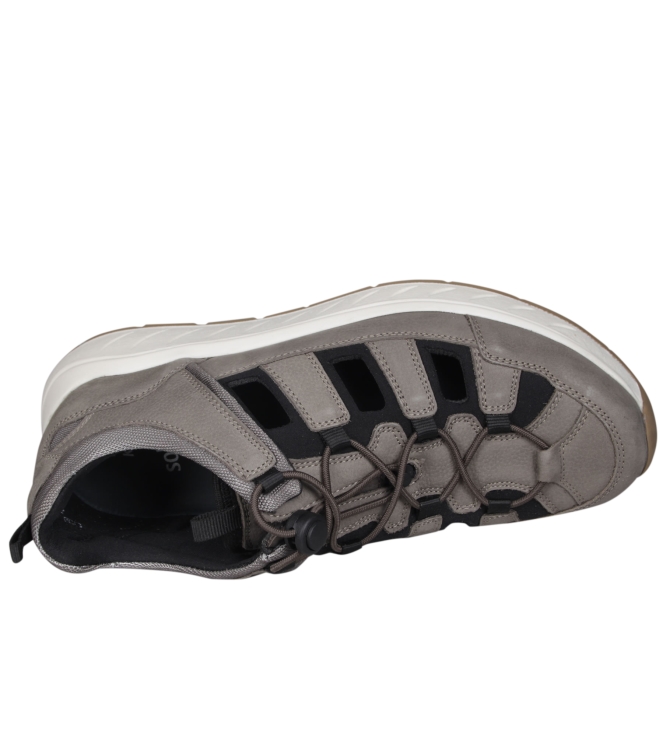 Solidus 71127 Ken Solidus 71127 Ken