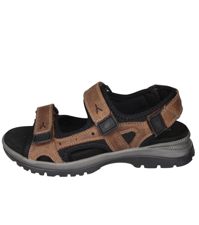 Waldlaufer 746004 Taro