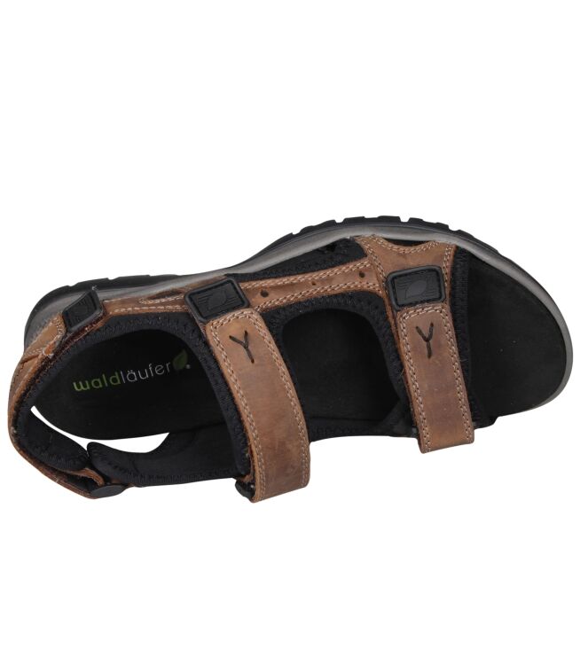 Waldlaufer 746004 Taro