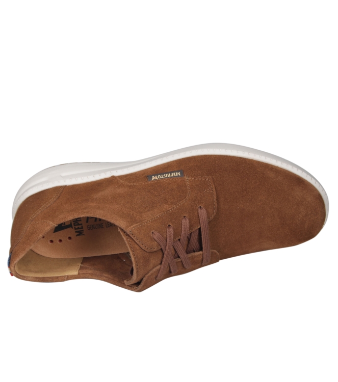 Mephisto Joris