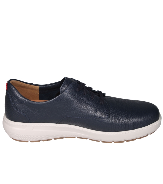 Mephisto Joris Mephisto Joris