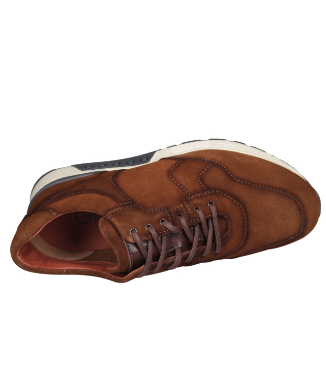 Greve 4289.88-001 Haarlem Greve 4289.88-001 Haarlem