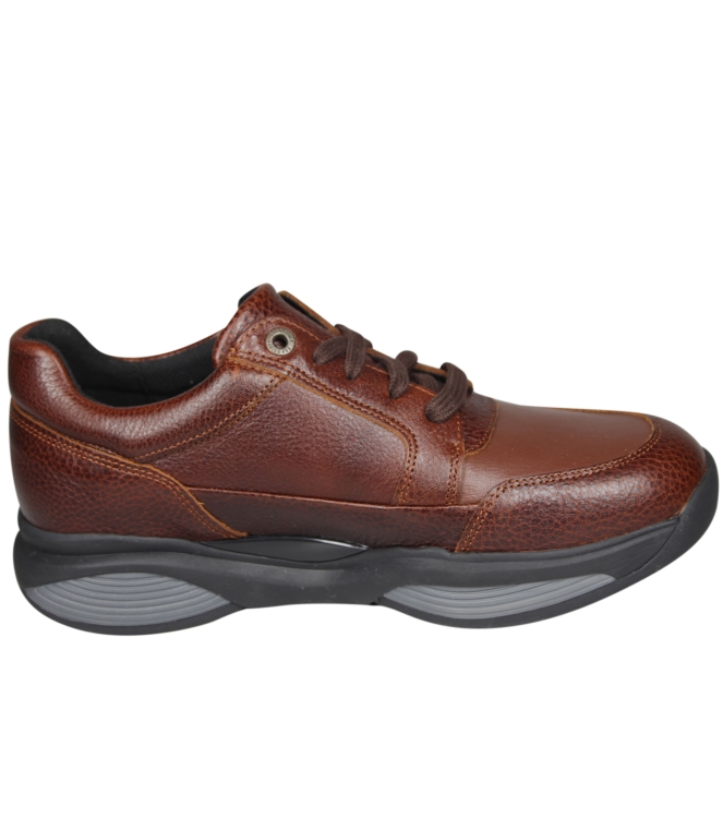 Xsensible 30076 Swx6 Xsensible 30076 Swx6