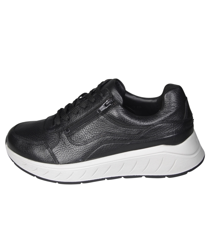 Solidus 71122 Ken Solidus 71122 Ken
