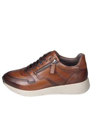 Greve 3284.09 Walker Greve 3284.09 Walker