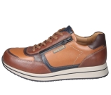 Kleur Cognac