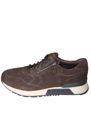 Greve 4299.30 Haarlem Greve 4299.30 Haarlem