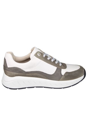 Solidus Solidus 71122 Ken Groene Sneaker
