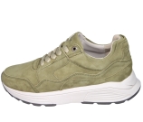 Kleur Groen