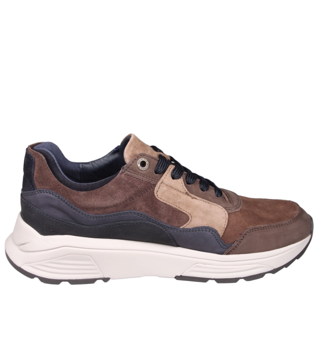 Xsensible 33200 Golden gate Xsensible 33200 Golden gate