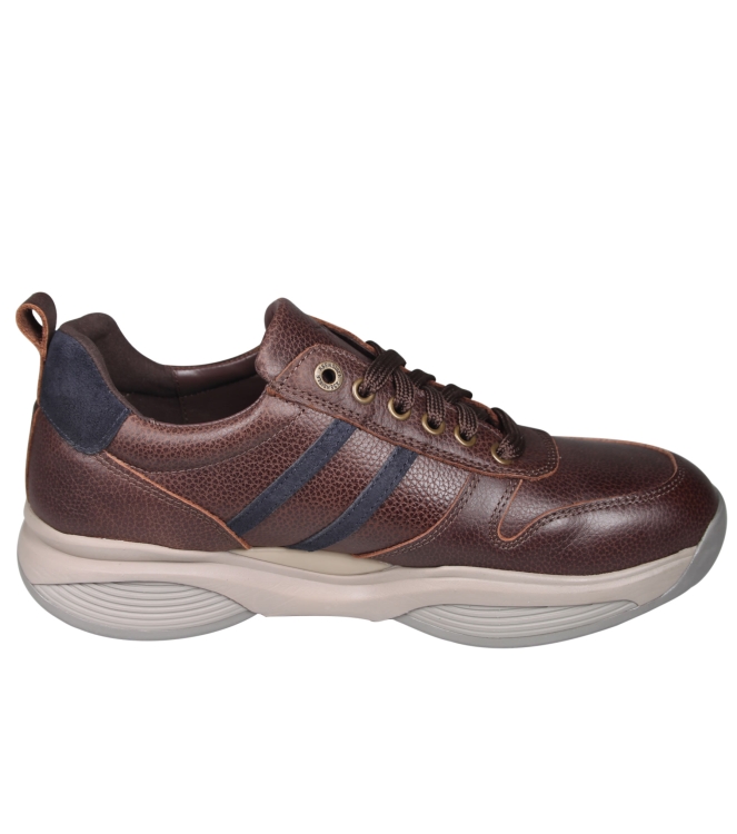 Xsensible 30073 Swx3 Xsensible 30073 Swx3