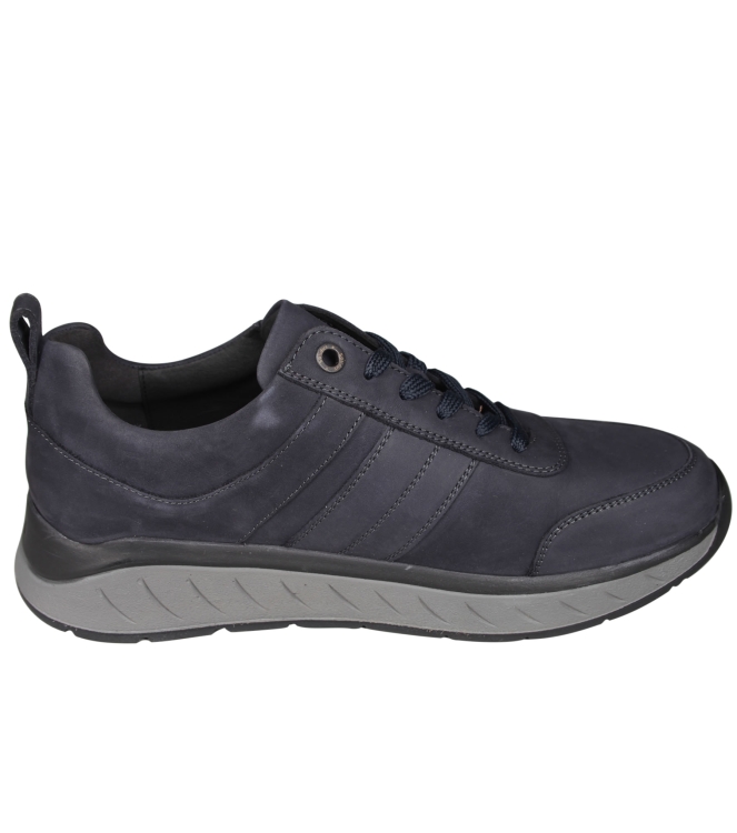 Solidus 71501 Ken Solidus 71501 Ken