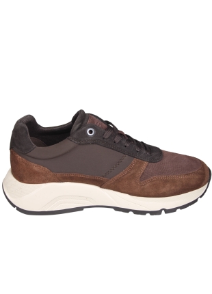 Greve Greve 7276.06 Arnhem Bruine Sneaker