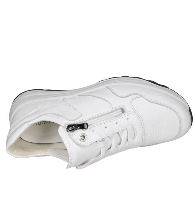 Waldlaufer 662002 John