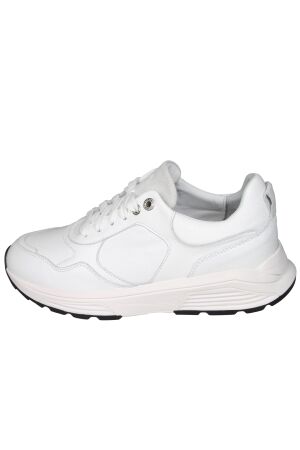 Xsensible Next Generation 33201 Rialto