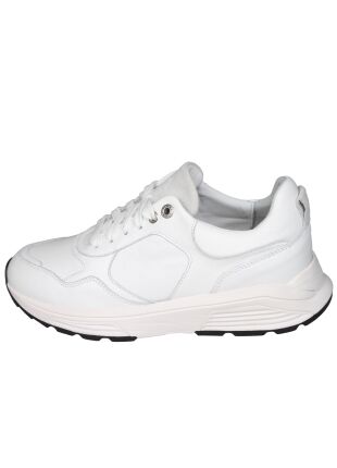 Xsensible Next Generation 33201 Rialto