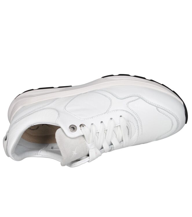 Xsensible 33201 Rialto