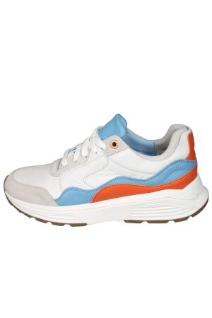 Xsensible Next Generation 33200 Golden gate