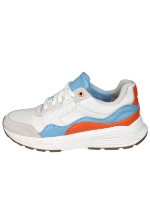 Xsensible Next Generation 33200 Golden gate