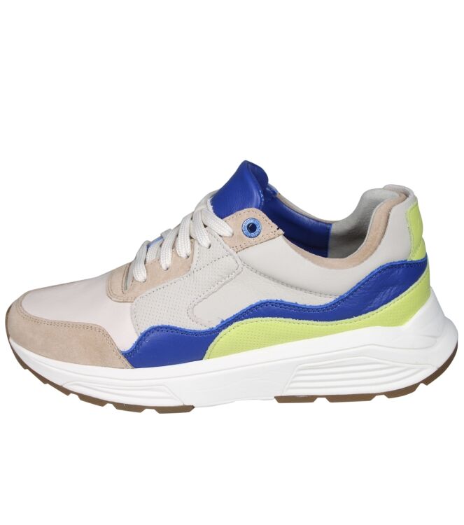 Xsensible 33200 Golden gate