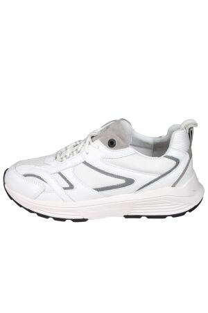 Xsensible Next Generation 33202 Brooklyn