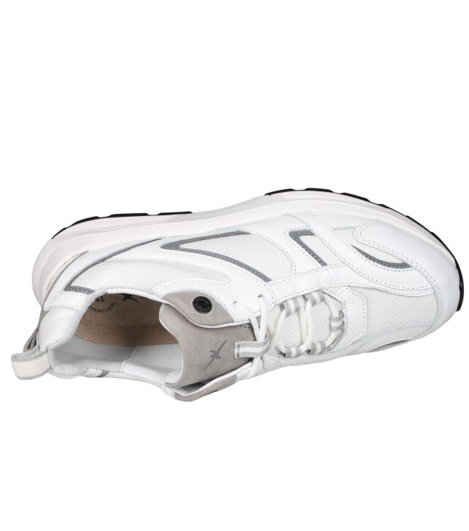 Xsensible 33202 Brooklyn