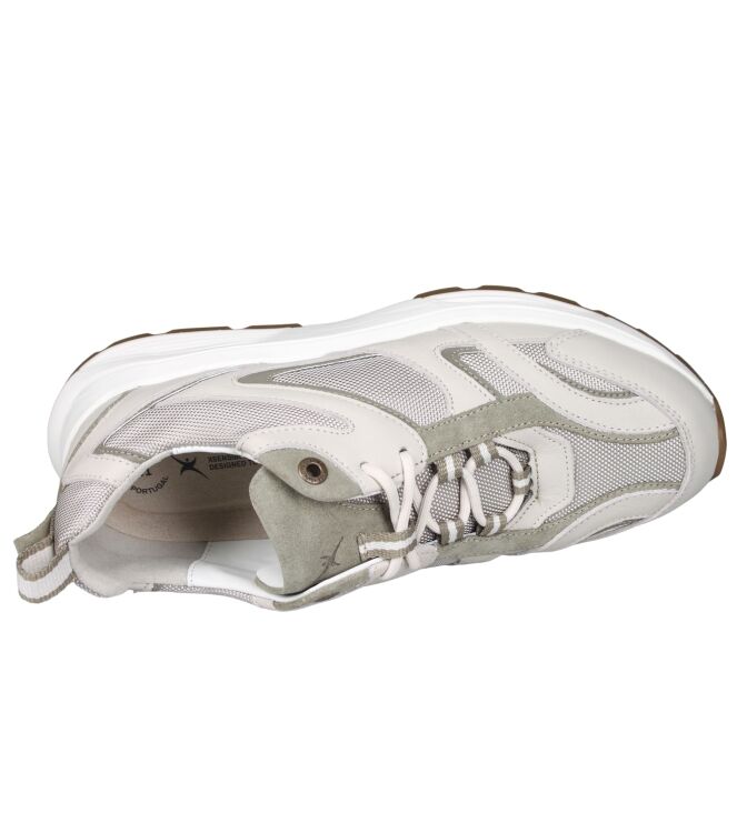 Xsensible 33202 Brooklyn