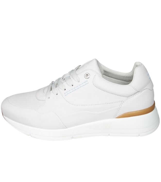 Greve 7288.01 Walker