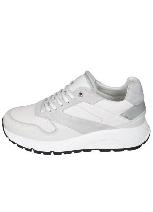 Greve 7274.01 Arnhem