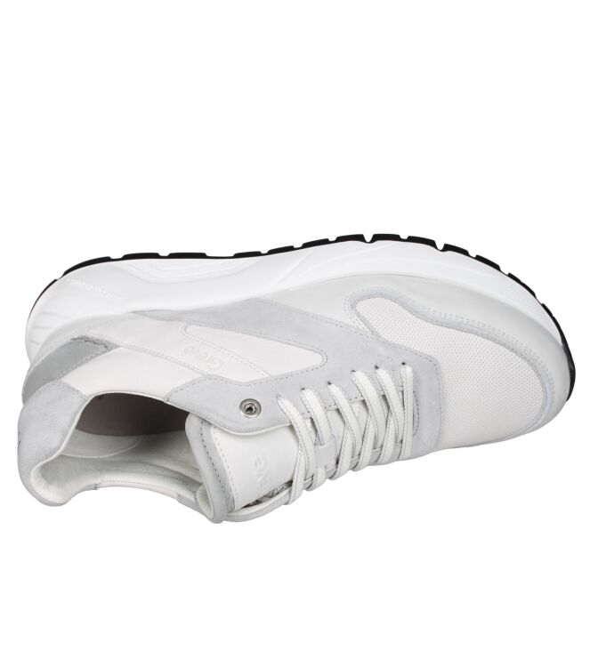 Greve 7274.01 Arnhem