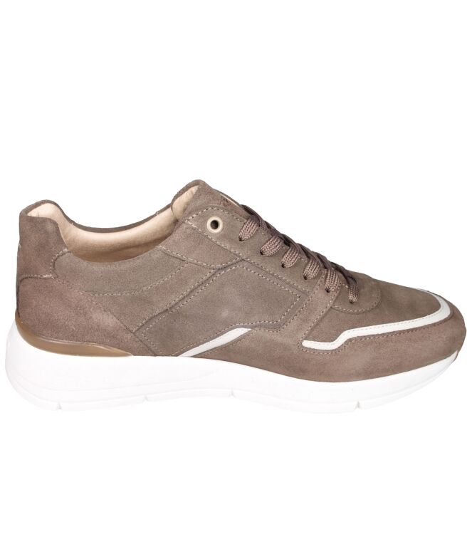 Greve 7280.01 Walker