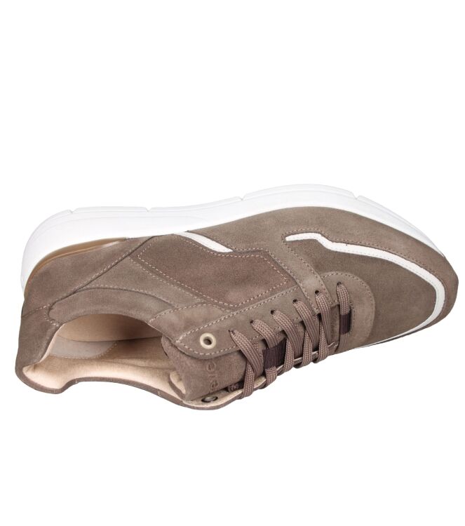 Greve 7280.01 Walker