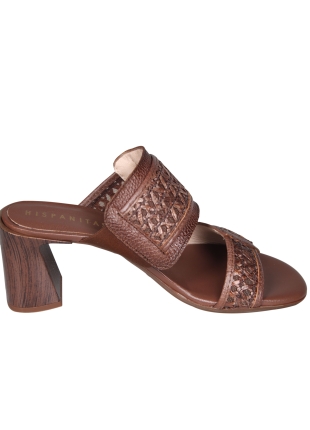Hispanitas Hispanitas RHV264747 Orquidea Bruine Slipper