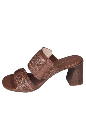 Hispanitas RHV264747 Orquidea