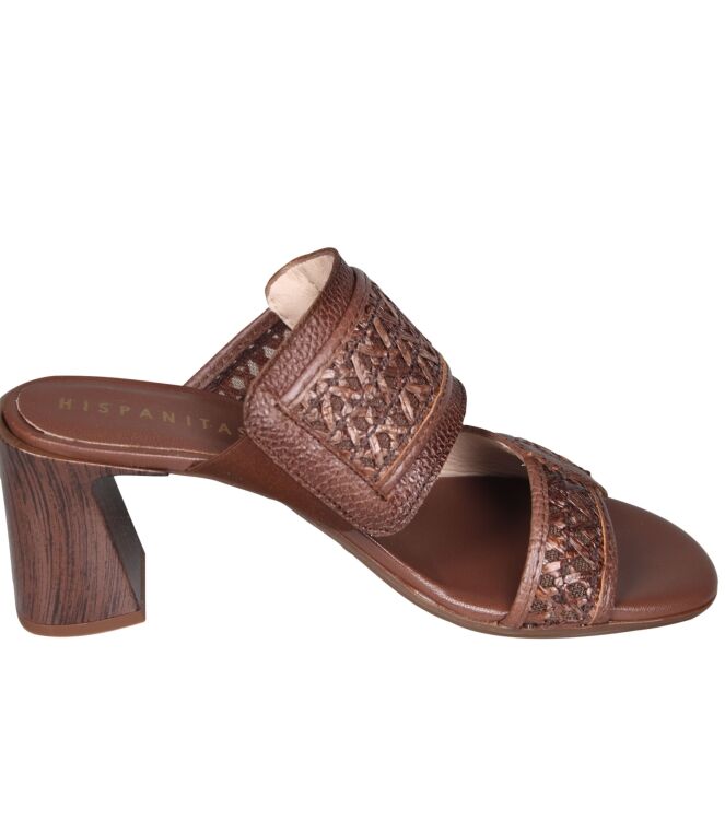 Hispanitas RHV264747 Orquidea