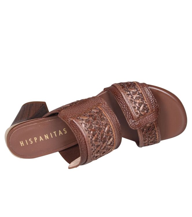 Hispanitas RHV264747 Orquidea