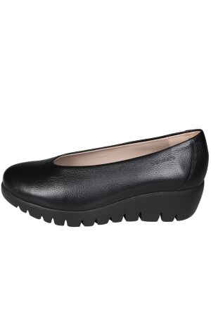 Wonders FLYER C-33100