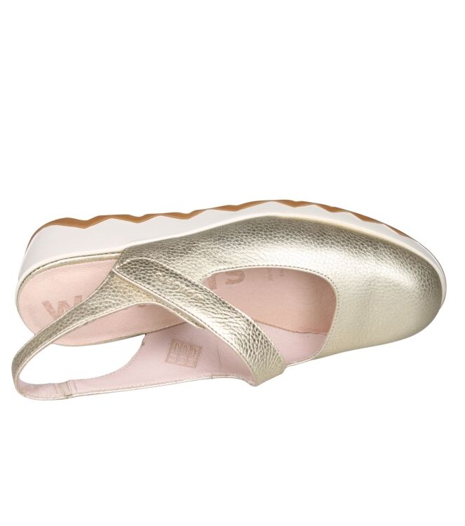 Wonders SIMON C-7622