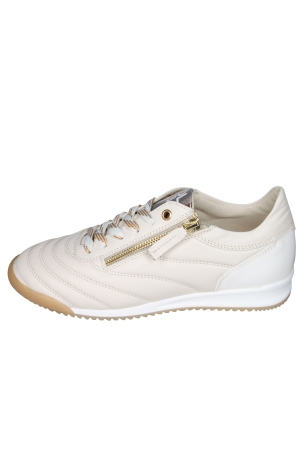 DL Sport 6953