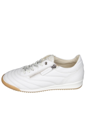 DL Sport 6953
