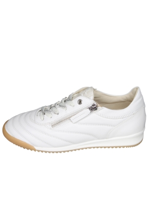 DL Sport 6953