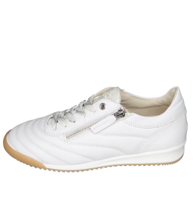 DL Sport 6953 DL Sport 6953