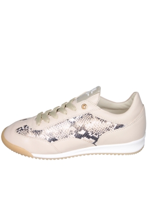 DL Sport 6955 DL Sport 6955